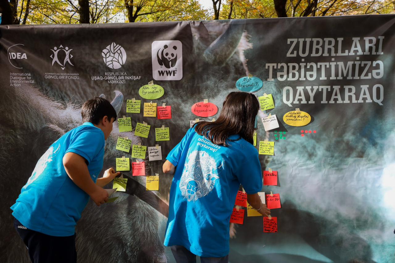 В Исмаиллы прошел лагерь «Вернем зубров в нашу природу!» (ФОТО)