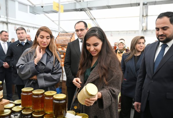 Вице-президент Фонда Гейдара Алиева Лейла Алиева и руководитель Баку Медиа Центра Арзу Алиева посетили ярмарку выставки-продажи пчеловодческой продукции (ФОТО)