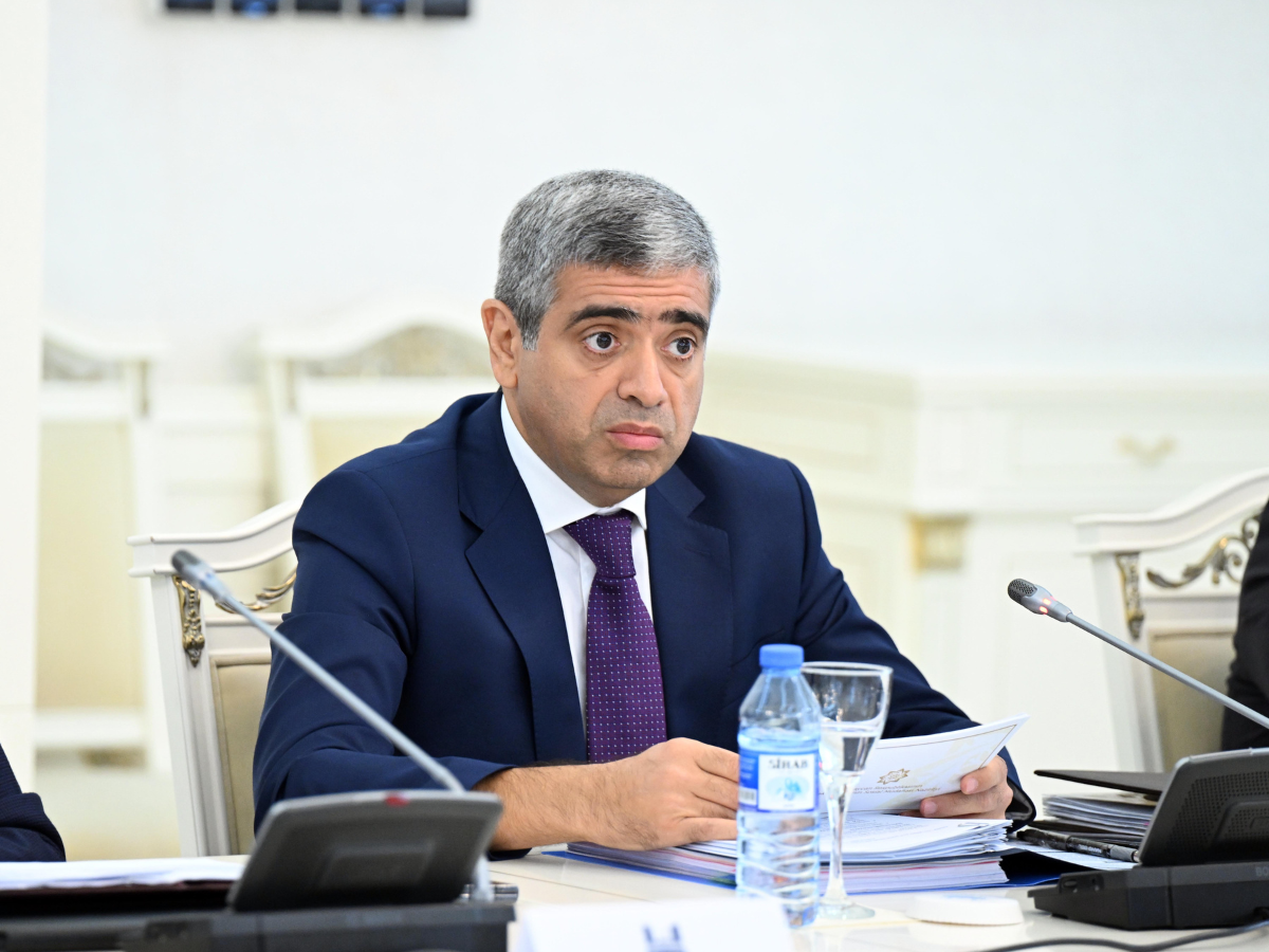 Социальные реформы охватили 4 миллиона граждан - Анар Алиев