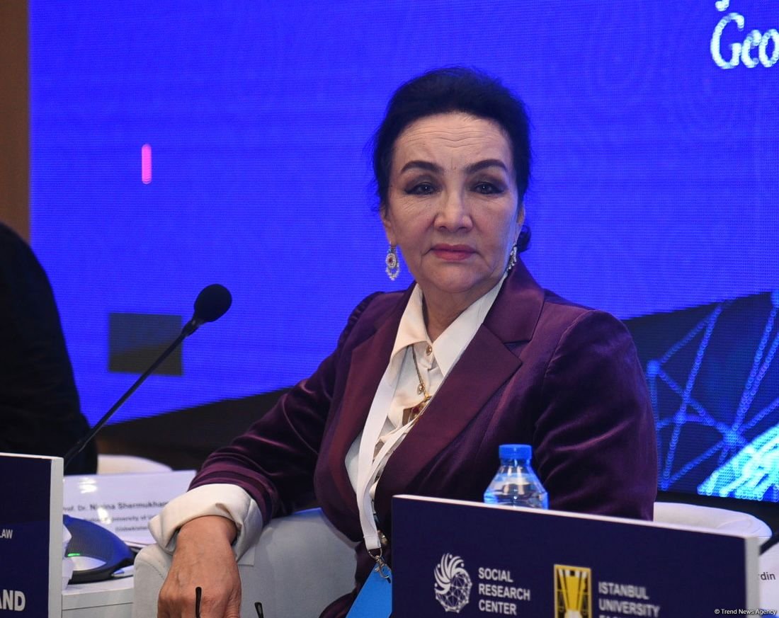 В Баку проходит международная конференция на тему государственного суверенитета и национальных конституций (ФОТО)