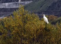 Объектив Победы Азербайджана - фоторепортер провёл 35 из 44 дней на передовой (ФОТО)