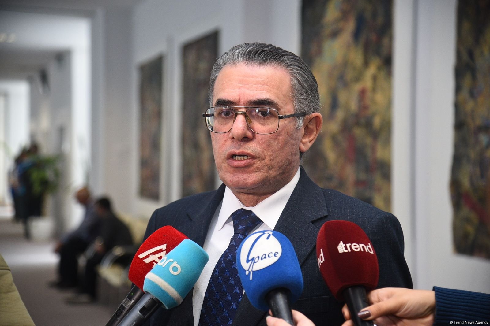 Медиа играет важную роль в сохранении азербайджанского языка - Натиг Мамедли