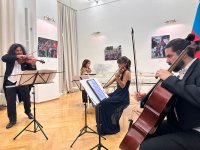 В Вене прошел праздничный вечер в честь Дня Победы Азербайджана (ФОТО)