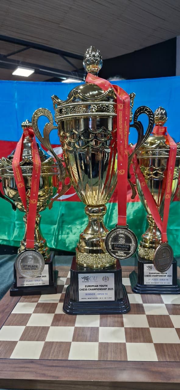 Азербайджанский шахматист стал чемпионом Европы