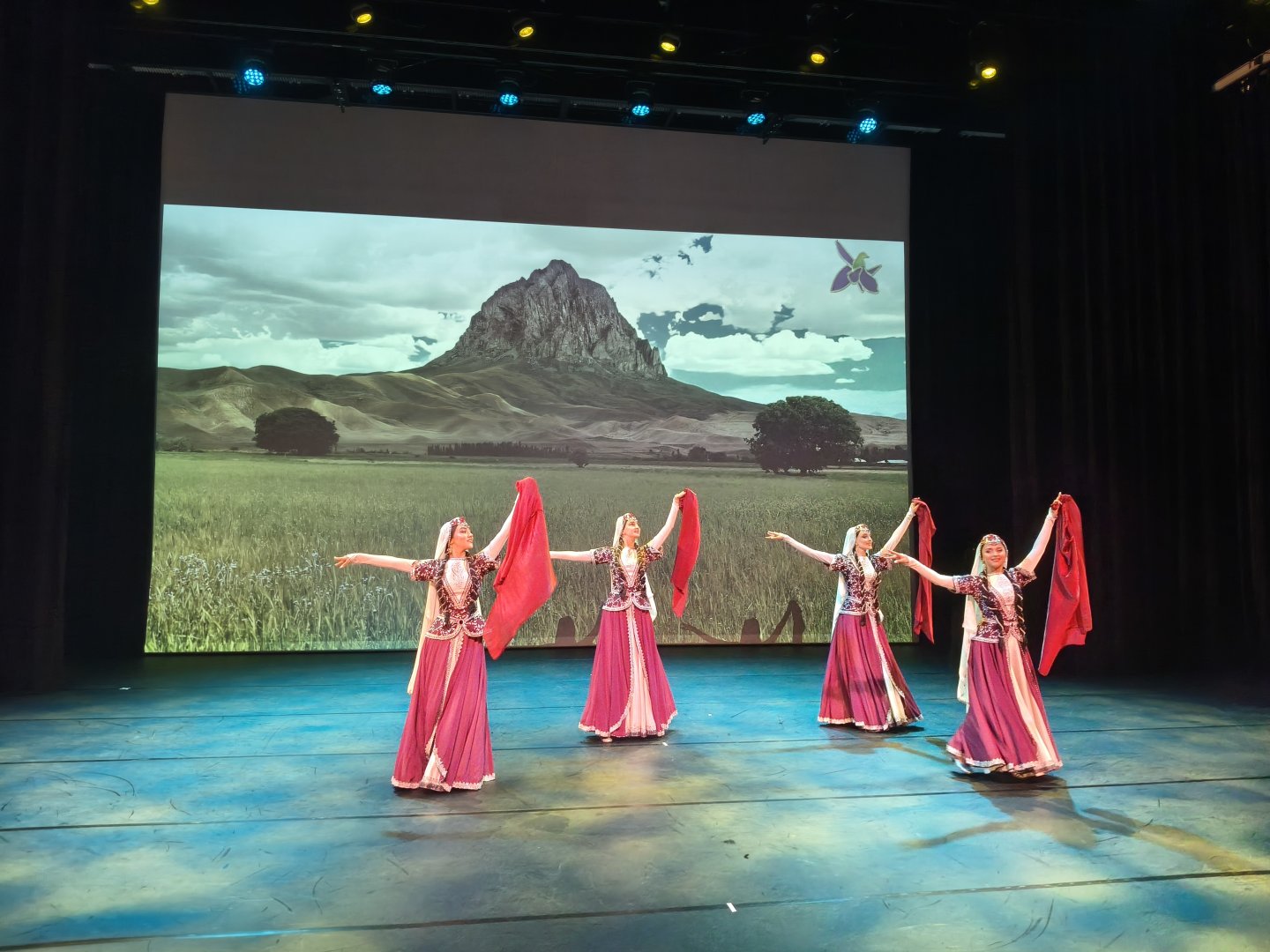 В Нидерландах с большим энтузиазмом отметили День Победы Азербайджана (ФОТО)