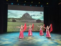 В Нидерландах с большим энтузиазмом отметили День Победы Азербайджана (ФОТО)