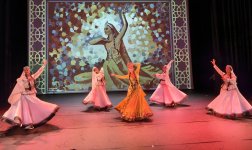 В Нидерландах с большим энтузиазмом отметили День Победы Азербайджана (ФОТО)