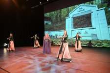 В Нидерландах с большим энтузиазмом отметили День Победы Азербайджана (ФОТО)