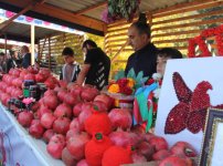 В Гёйчае прошел XVI Фестиваль граната – красочный праздник и символ Азербайджана (ФОТО)