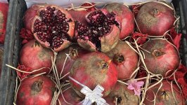 В Гёйчае прошел XVI Фестиваль граната – красочный праздник и символ Азербайджана (ФОТО)