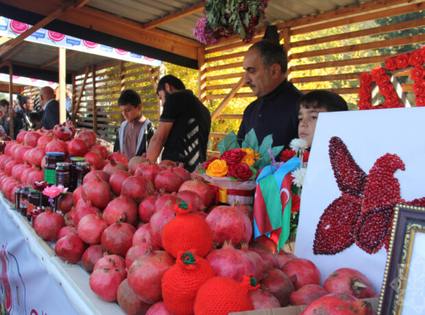 В Гёйчае прошел XVI Фестиваль граната – красочный праздник и символ Азербайджана (ФОТО)