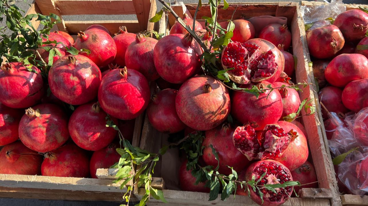 В Гёйчае прошел XVI Фестиваль граната – красочный праздник и символ Азербайджана (ФОТО)