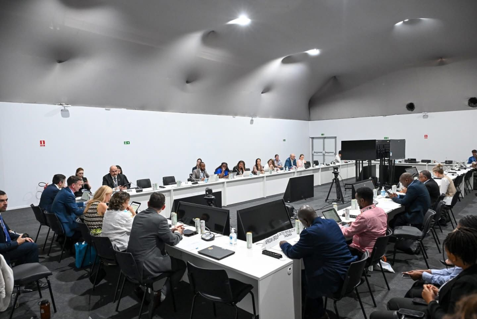 Наследие COP29 на основе участия молодежи – это модель участия для будущих саммитов - Ялчин Рафиев (ФОТО)