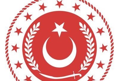 Минобороны Турции подтвердило гибель 20 военнослужащих (ФОТО)