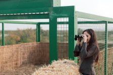 Вице-президент Фонда Гейдара Алиева Лейла Алиева приняла участие в экологических акциях в Мингячевире (ФOTO)