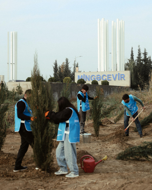 Вице-президент Фонда Гейдара Алиева Лейла Алиева приняла участие в экологических акциях в Мингячевире (ФOTO)