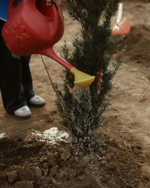 Вице-президент Фонда Гейдара Алиева Лейла Алиева приняла участие в экологических акциях в Мингячевире (ФOTO)