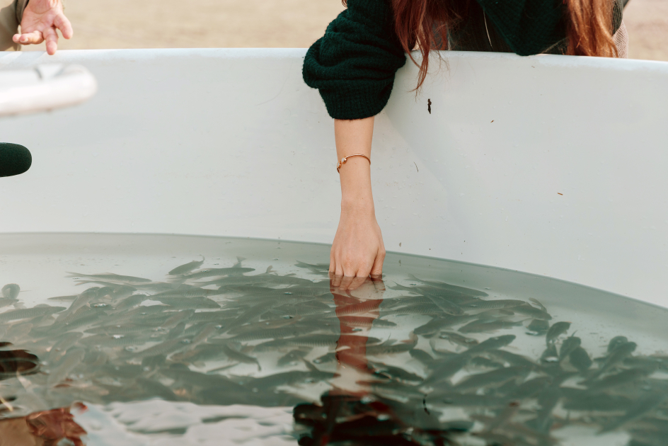 Вице-президент Фонда Гейдара Алиева Лейла Алиева приняла участие в экологических акциях в Мингячевире (ФOTO)