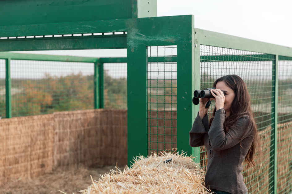 Вице-президент Фонда Гейдара Алиева Лейла Алиева приняла участие в экологических акциях в Мингячевире (ФOTO)