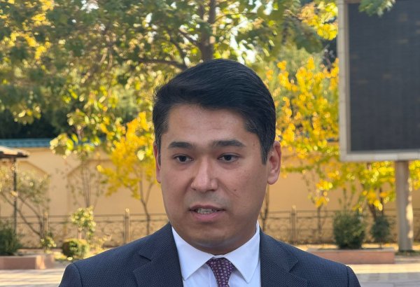 Можно ожидать официального присоединения новых участников к проекту коридора "зеленой" энергии "Центральная Азия -Азербайджан" - эксперт