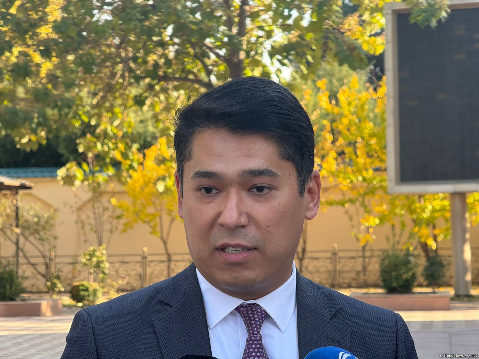 Можно ожидать официального присоединения новых участников к проекту коридора "зеленой" энергии "Центральная Азия -Азербайджан" - эксперт