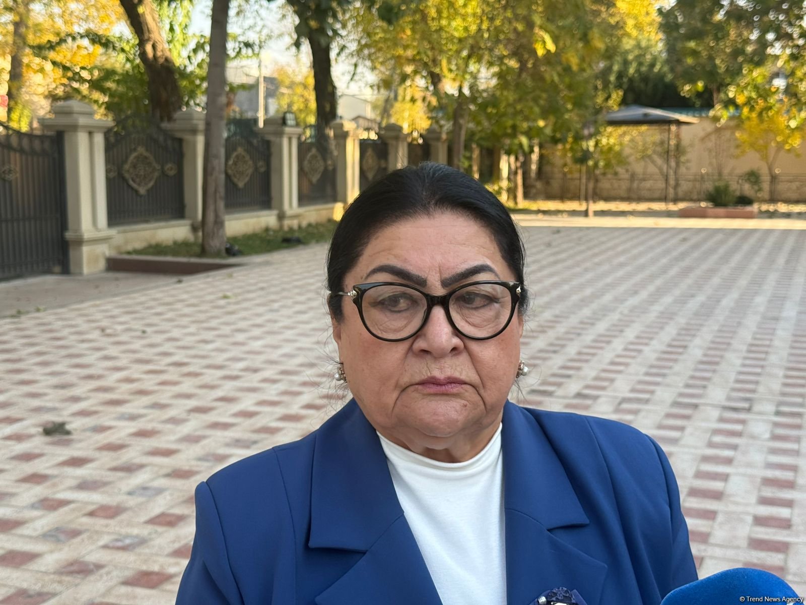 Стратегия сотрудничества Президентов Азербайджана и Узбекистана может стать примером для всего мира - мнение из Ташкента