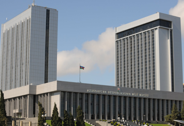 Сахиба Гафарова выразила соболезнования председателю парламента Грузии