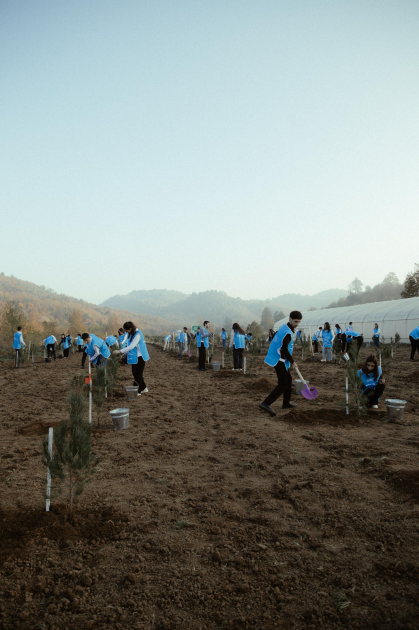 Лейла Алиева, Арзу Алиева и Алена Алиева приняли участие в экологических акциях в Лянкяране (ФОТО)