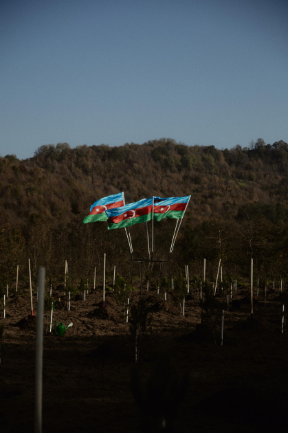 Лейла Алиева, Арзу Алиева и Алена Алиева приняли участие в экологических акциях в Лянкяране (ФОТО)