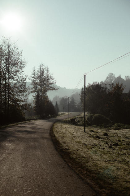 Лейла Алиева, Арзу Алиева и Алена Алиева приняли участие в экологических акциях в Лянкяране (ФОТО)