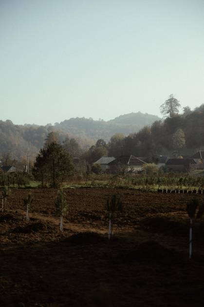 Лейла Алиева, Арзу Алиева и Алена Алиева приняли участие в экологических акциях в Лянкяране (ФОТО)