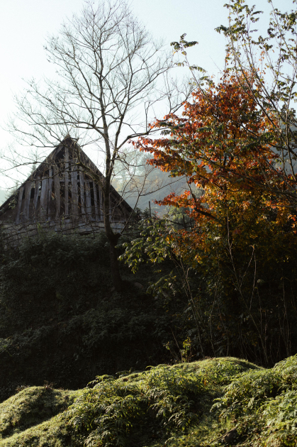 Лейла Алиева, Арзу Алиева и Алена Алиева приняли участие в экологических акциях в Лянкяране (ФОТО)