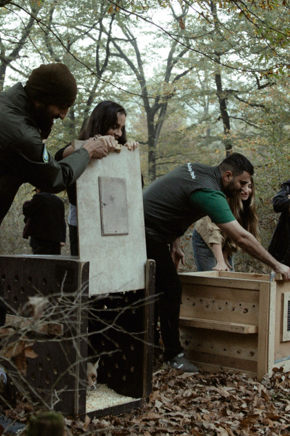 Лейла Алиева, Арзу Алиева и Алена Алиева приняли участие в экологических акциях в Лянкяране (ФОТО)