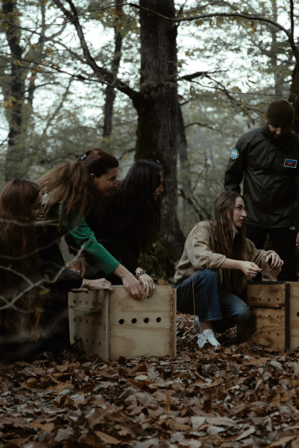 Лейла Алиева, Арзу Алиева и Алена Алиева приняли участие в экологических акциях в Лянкяране (ФОТО)