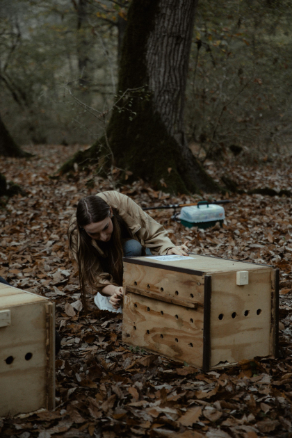 Лейла Алиева, Арзу Алиева и Алена Алиева приняли участие в экологических акциях в Лянкяране (ФОТО)