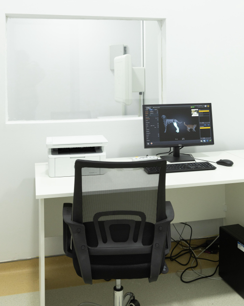 Лейла Алиева и Алена Алиева посетили ветеринарную клинику, созданную при Лянкяранском государственном университете (ФОТО)