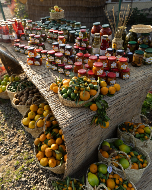 Лейла Алиева, Арзу Алиева и Алена Алиева посетили фермерское хозяйство в Лянкяране (ФОТО)