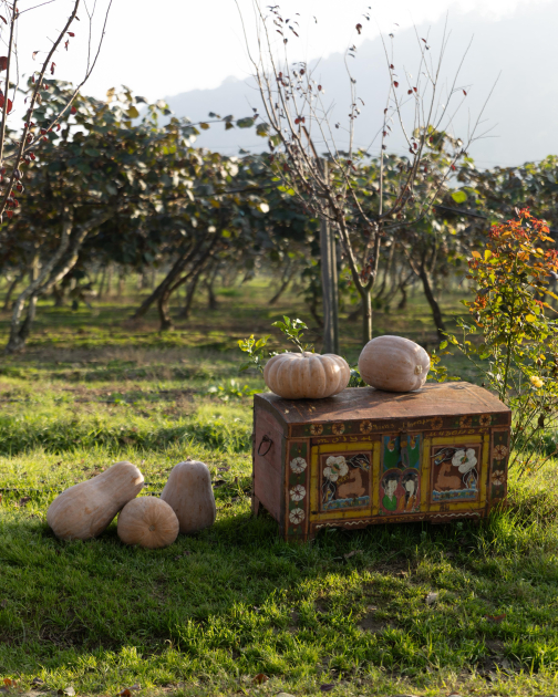 Лейла Алиева, Арзу Алиева и Алена Алиева посетили фермерское хозяйство в Лянкяране (ФОТО)