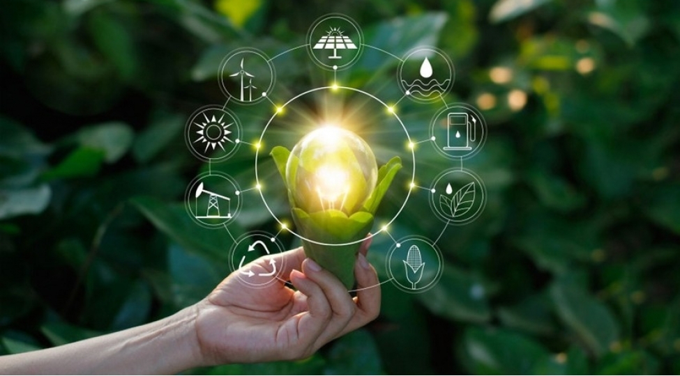 Азербайджан планирует внедрить биотопливо в транспортной сфере