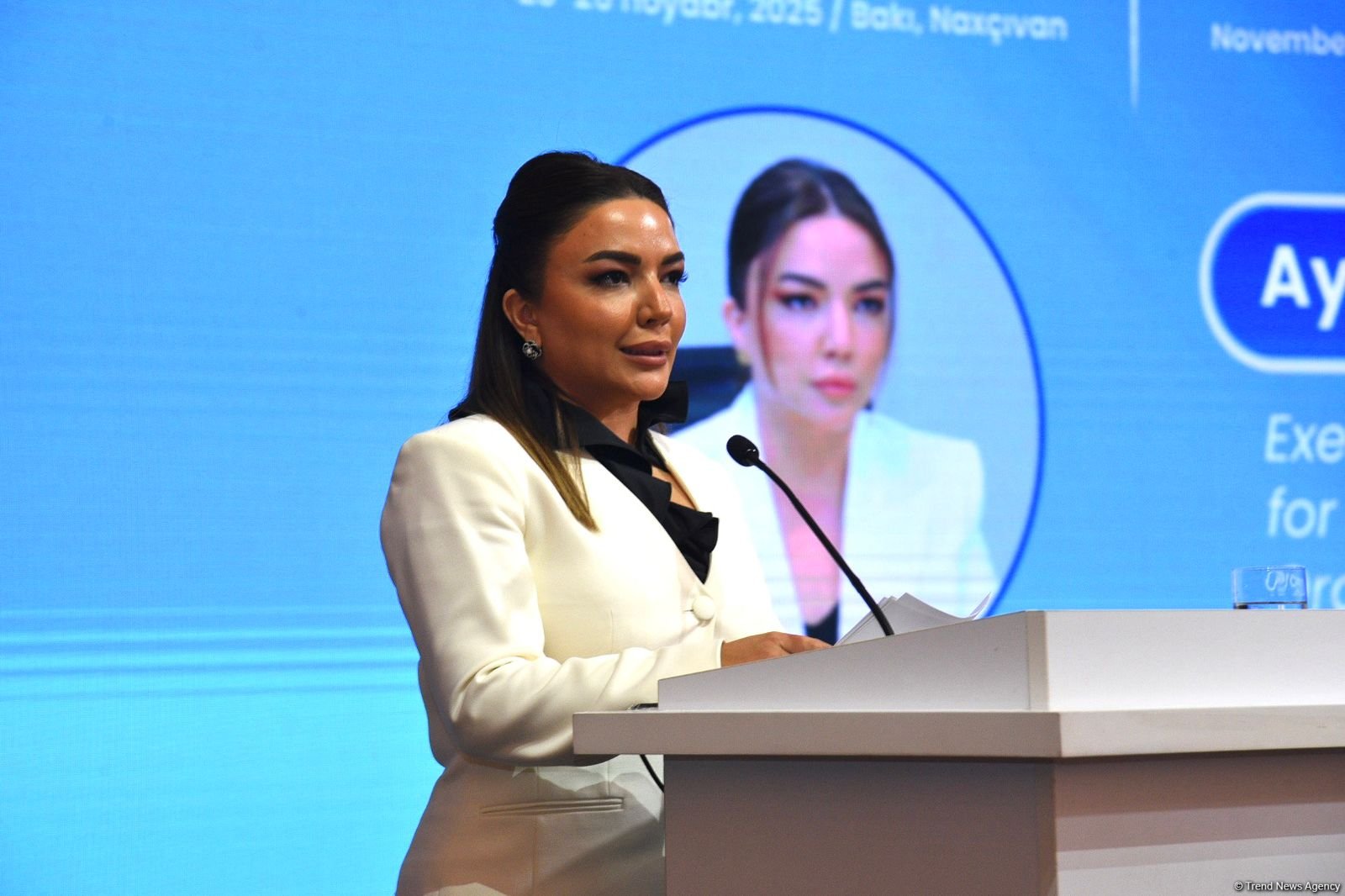 Азербайджан и Узбекистан объявят совместный грантовый конкурс для НПО – Айгюн Алиева