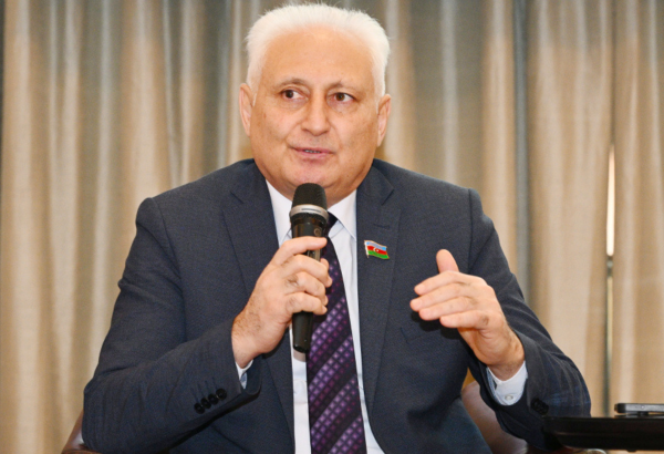 Атака иранских дронов на Нахчыванский международный аэропорт должна быть решительно осуждена - депутат