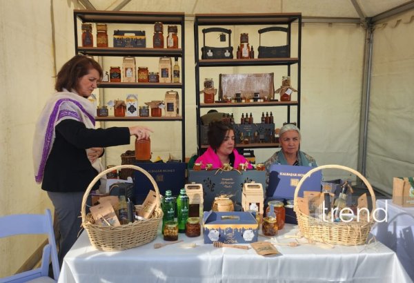 В Кяльбаджаре в рамках Дня города организована фотовыставка