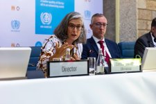 Делегация Азербайджана принимает участие в 3-й сессии Исполнительного совета UN-Habitat (ФОТО)