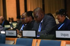 Делегация Азербайджана принимает участие в 3-й сессии Исполнительного совета UN-Habitat (ФОТО)