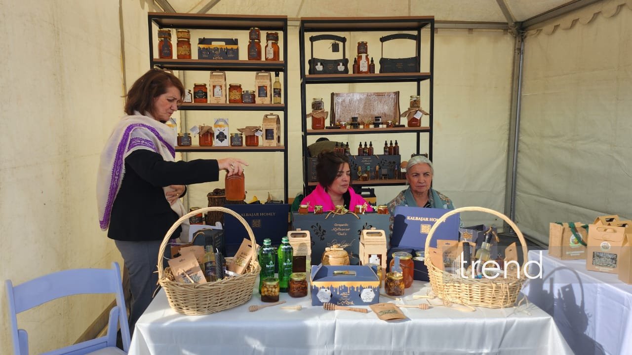 В Кяльбаджаре в рамках Дня города организована фотовыставка