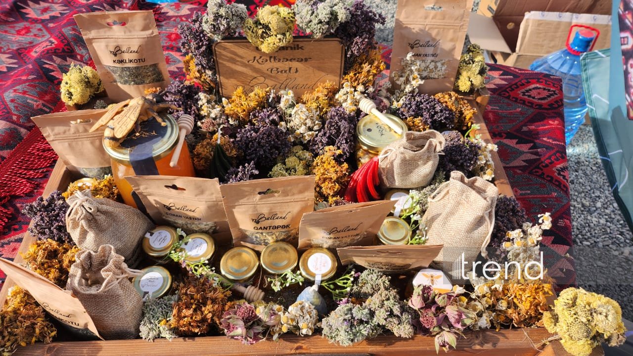 В Кяльбаджаре в рамках Дня города организована фотовыставка