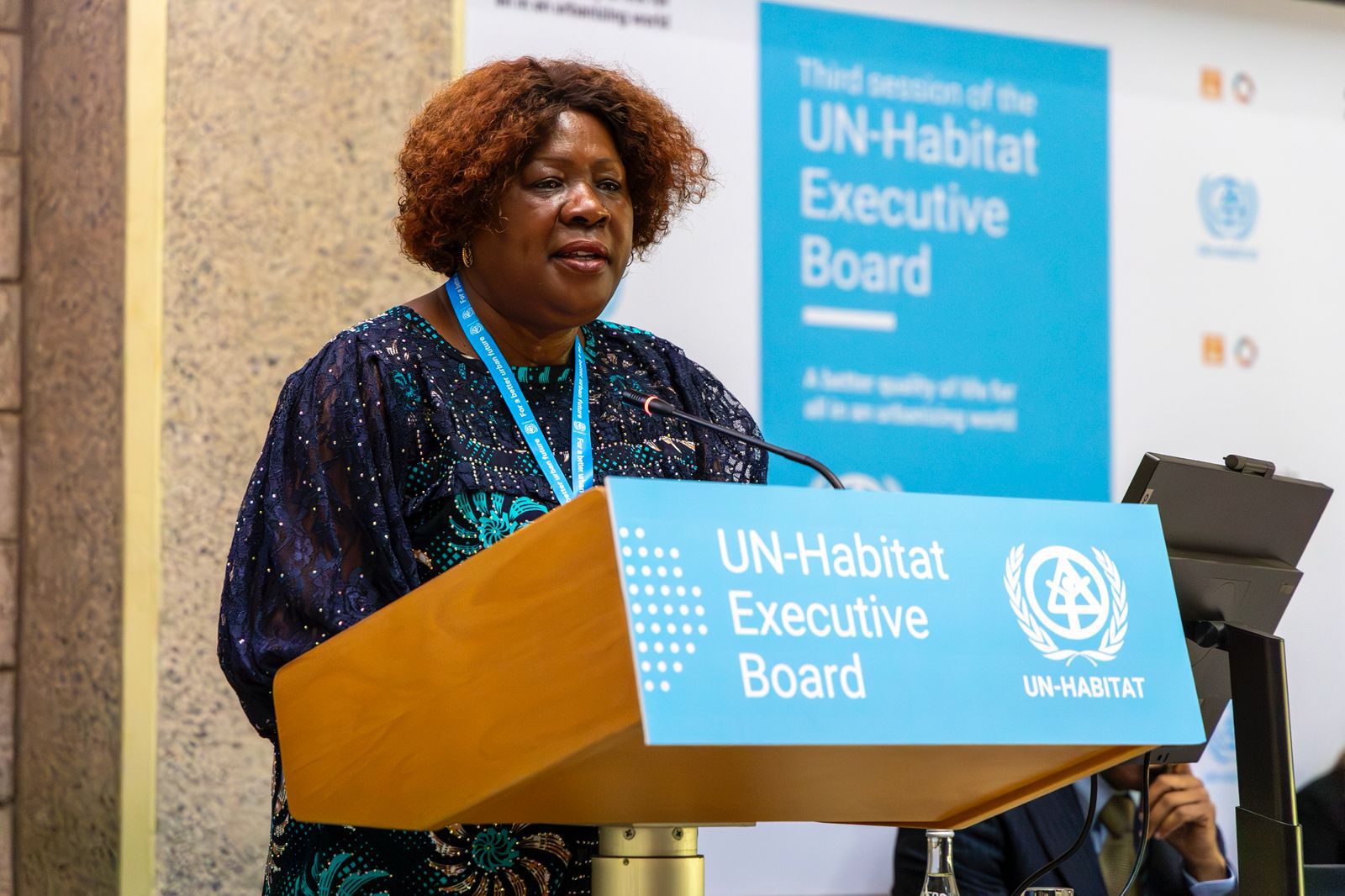 Делегация Азербайджана принимает участие в 3-й сессии Исполнительного совета UN-Habitat (ФОТО)