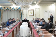 Обсуждены приоритетные направления экономического сотрудничества Азербайджана и Пакистана (ФОТО)