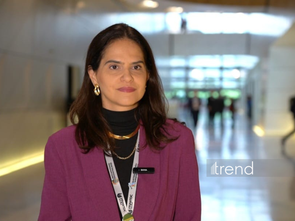 Бразилия рассматривает подписание меморандума с Азербайджаном о цифровом сотрудничестве (Эксклюзив)