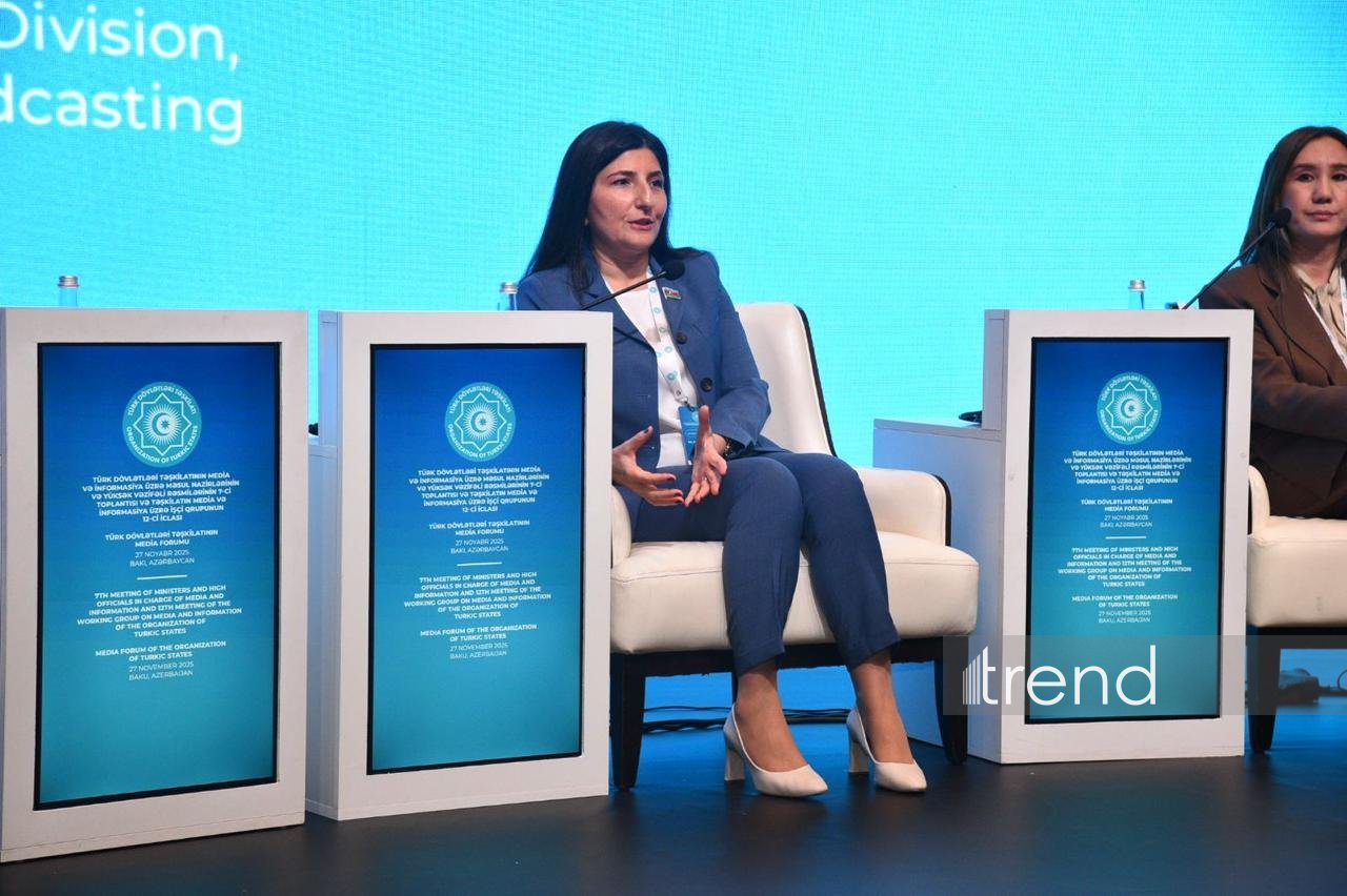 Trend и DHA приглашают СМИ стран ОТГ и D8 на свою совместную цифровую платформу, основанную на ИИ - Севиль Микаилова